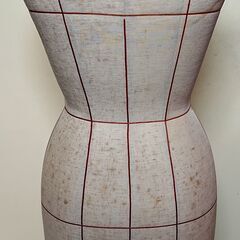 トルソー 女性用 レディース ボディの画像