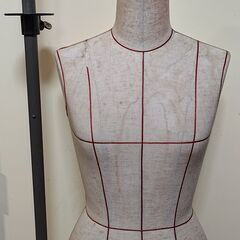 トルソー 女性用 レディース ボディの画像