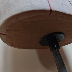 トルソー 女性用 レディース ボディの画像