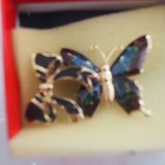 ブローチ、蝶々、箱入り、２個の画像