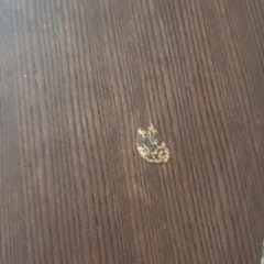 テーブルの画像