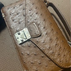 二点セットオーストリッチ　セカンドバッグ の画像