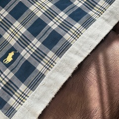 ラルフローレン　タオルケットの画像