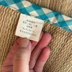 お昼寝　ゴザの画像