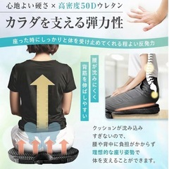 【新品】姿勢矯正クッション【整骨院監修】の画像