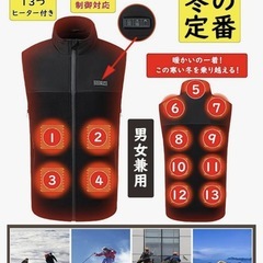 【新品未使用】電熱ベスト XL~3XL 大きいサイズ 襟付き 男女兼用 サイズ調節可 3つボタン制御 前後13箇所発熱 USB給電の画像
