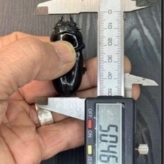 [国産オオクワガタNO:192]YG871系統  80ミリペアー(来年即ブリ)の画像