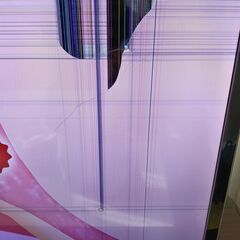 【ジャンク】Panasonic VIERA TH-L42ES 42型液晶テレビの画像