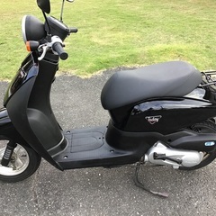 ホンダ　トゥデイ　AF67  ブラックの画像