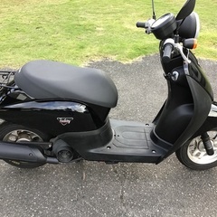 ホンダ　トゥデイ　AF67  ブラックの画像