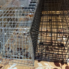 捕獲機セット★野良猫保護★の画像