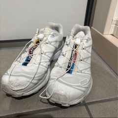 サロモンXT-6 size 27.5の画像