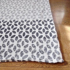 【引渡し12/14まで】青野タオル マイクロファイバー毛布（180×200cm）の画像