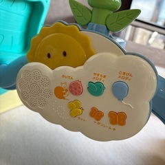 プーメリーの画像