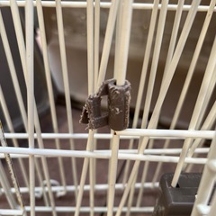 ドア付きキャットケージの画像