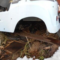 ミツオカMC1のドンガラ、引取り限定になります。の画像