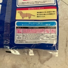 犬用 オムツ Sサイズ  計17枚  の画像