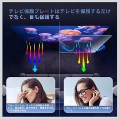 新品✨ 液晶テレビ保護パネル 43インチ テレビカバー 液晶tv保護プロテクター 43型
の画像