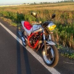 旧車.VＴ250fcの画像