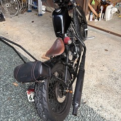 ヘイスト　250の画像