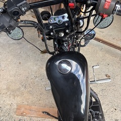 ヘイスト　250の画像