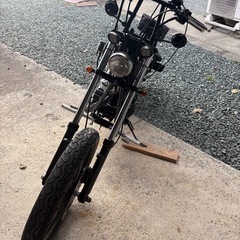 ヘイスト　250の画像