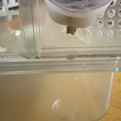 グラスハーモニー450の画像