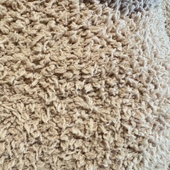 B7134【ジェラートピケ】Sleep ベア 抱き枕の画像