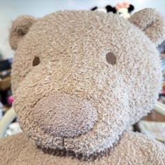 B7134【ジェラートピケ】Sleep ベア 抱き枕の画像