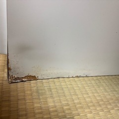 ミラー付きワードローブ　※12/20前後で締め切りの画像