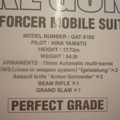 ☆▲【未組立】　PG　1/60　地球連邦軍　高機動中近距離戦用モビルスーツ　GAT-X105　ストライクガンダム　ガンプラ　ガンダムの画像