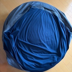 ニトリ　ビーズクッション大の画像