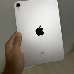 本日限定出品！ipadmini6 ピンク 256GB wifiモデルの画像