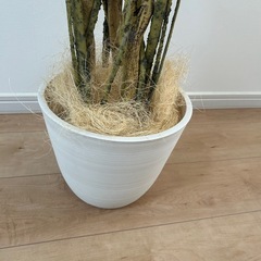 ニトリ　フェイクグリーン　観葉植物
の画像
