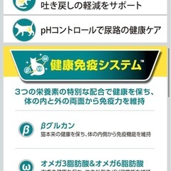 ピュリナ ワン キャット ドライ 避妊・去勢した猫の体重ケア 避妊・去勢後から全ての年齢に チキン 健康免疫サポート 免疫ケア 2kg×５袋の画像
