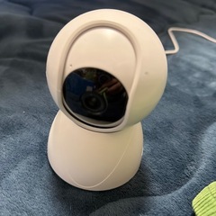 ペットカメラ2台　　コードは1つですの画像