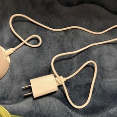 ペットカメラ2台　　コードは1つですの画像