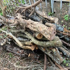 【引き取りに来れる方限定】伐採した枝、切り株などの画像