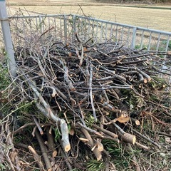 【引き取りに来れる方限定】伐採した枝、切り株などの画像