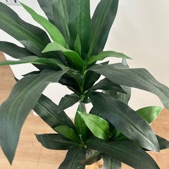 ニトリ　フェイクグリーン　観葉植物の画像