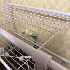 【1/31AMお渡し】先行予約　ランドリーラックの画像