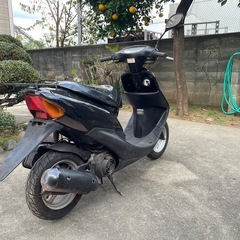 ライブディオの画像