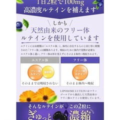【残り1点!!】LIPOSOME 高吸収リポソーム 持続型 ルテイン100mg配合サプリ 無添加 日本製 60粒 の画像