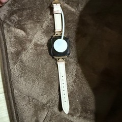 アップルウォッチ10バンドの画像