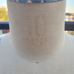 【無料】服飾・レディーストルソー・マネキンの画像