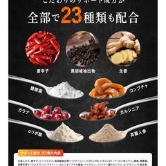 カロバーンEX 体脂肪 BMIケア エラグ酸 内臓脂肪 ウエストケア 機能性表示食品 国内製造 サプリ 1袋 30日分（60粒） の画像