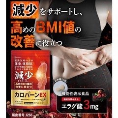 カロバーンEX 体脂肪 BMIケア エラグ酸 内臓脂肪 ウエストケア 機能性表示食品 国内製造 サプリ 1袋 30日分（60粒） の画像