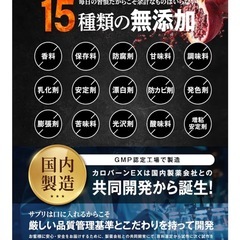 カロバーンEX 体脂肪 BMIケア エラグ酸 内臓脂肪 ウエストケア 機能性表示食品 国内製造 サプリ 1袋 30日分（60粒） の画像