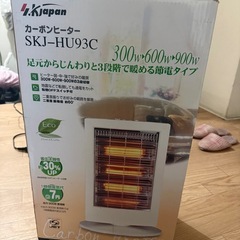 カ-ボンヒ-タ-の画像