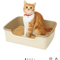 猫用トイレ本体 の画像